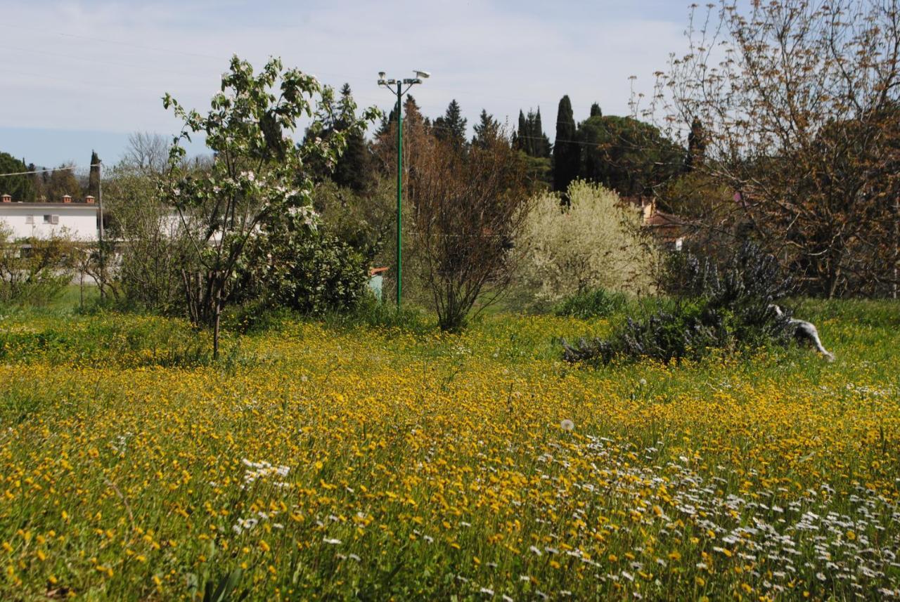 Agriturismo Fattoria Di Malavolta Florence Exterior photo