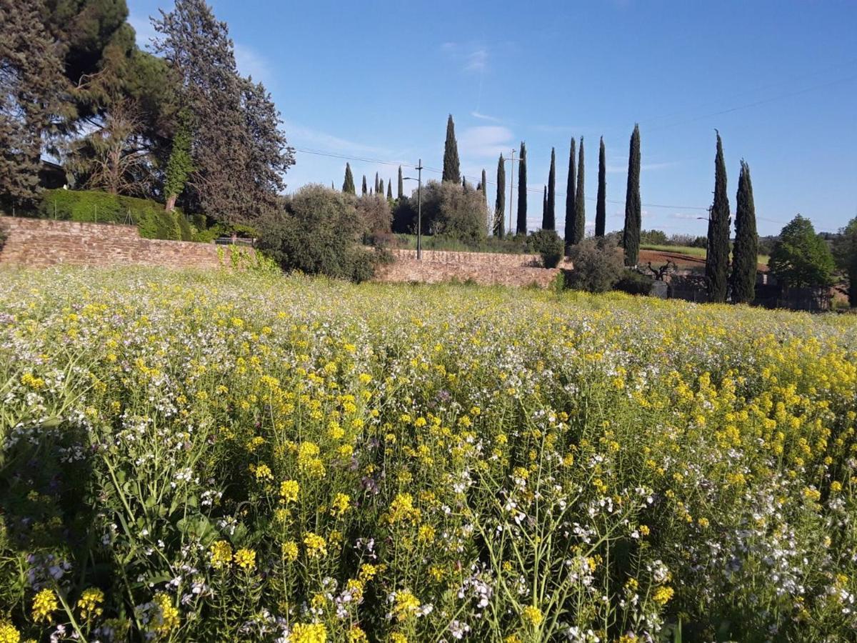 Agriturismo Fattoria Di Malavolta Florence Exterior photo